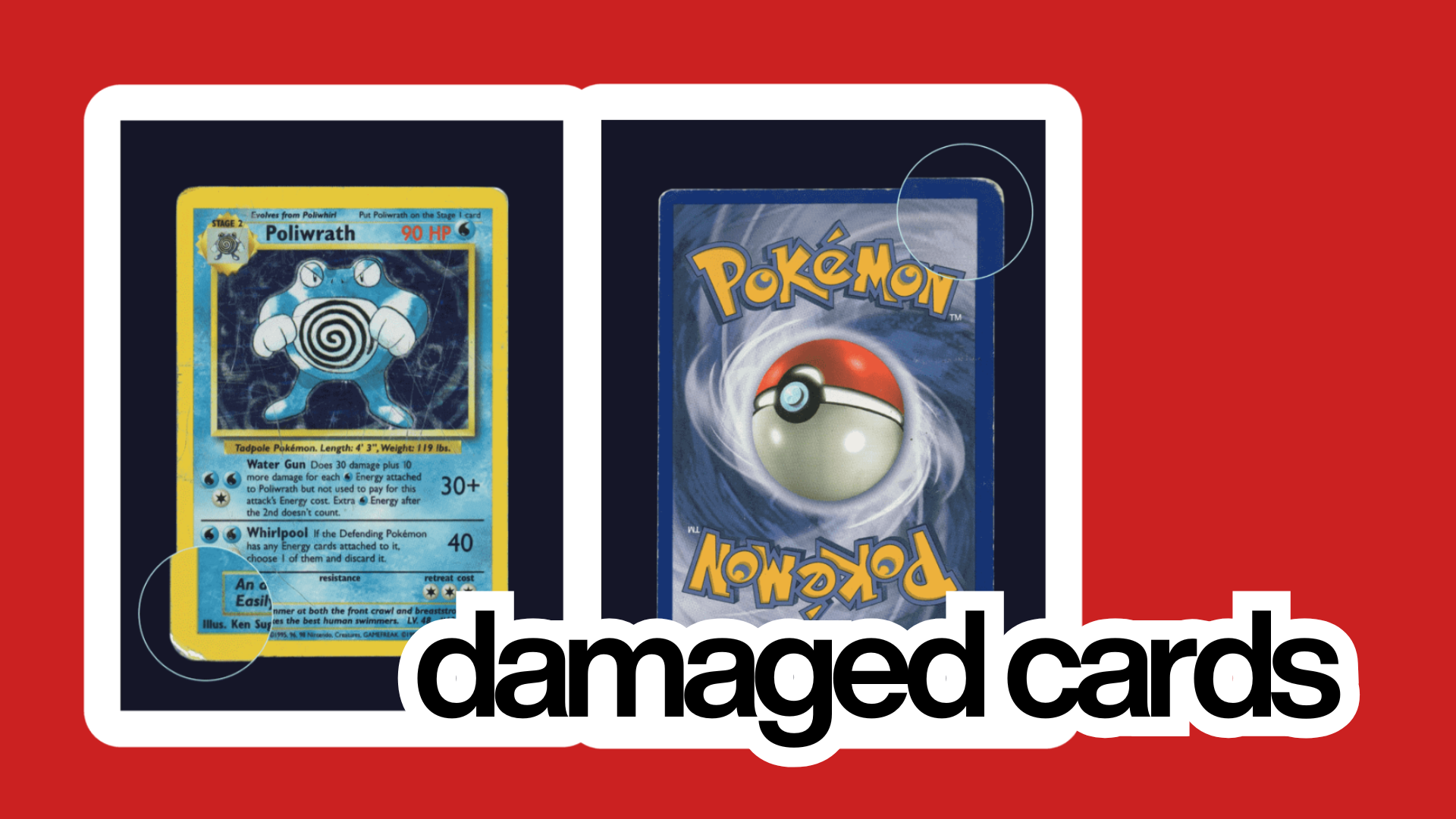 Protecting Your Card Collection: The Complete Guide to Moisture Control
