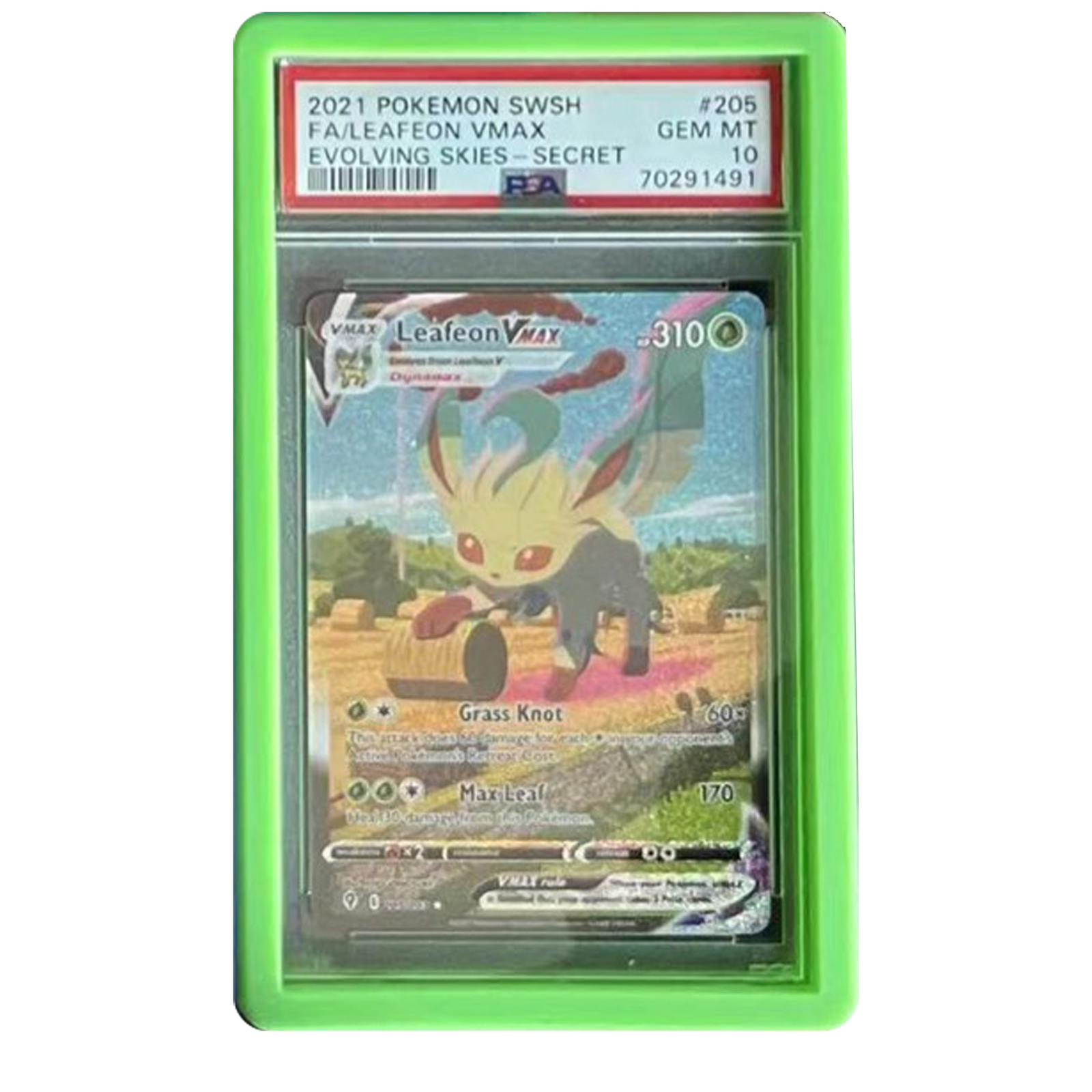 EVORETRO Bumper Graded slab Protector for PSA