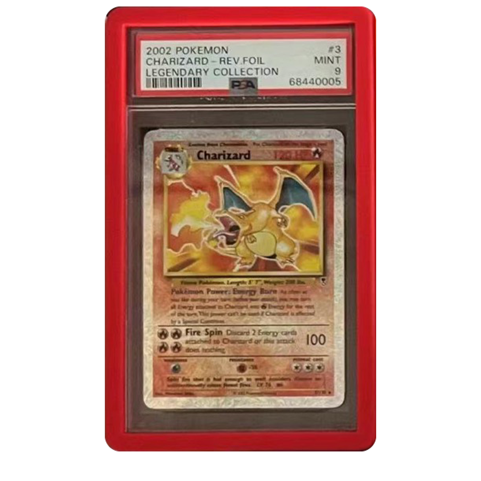 EVORETRO Protège-dalle (Bumper) pour dalles classées PSA