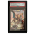 EVORETRO Bumper Graded slab Protector for PSA