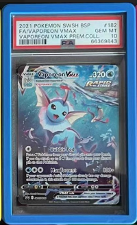 Bumper Graded slab Protector for PSA