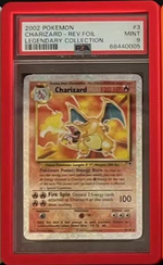 Bumper Graded slab Protector for PSA