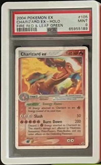 Bumper Graded slab Protector for PSA