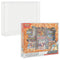 Protector case for Charizard ex Premium Collection, shown empty and with sealed box inside for display and protection