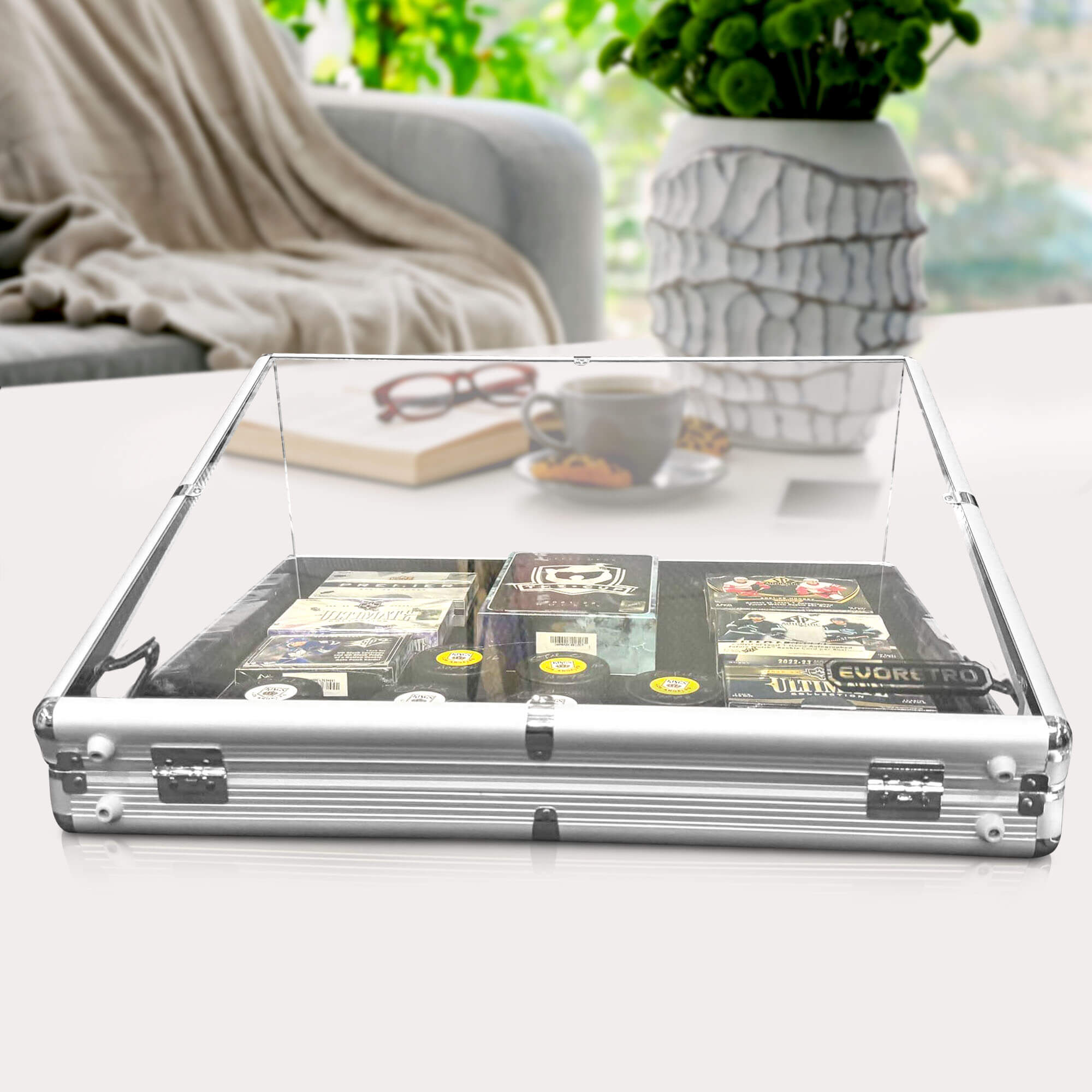 Vitrine en aluminium pour cartes et jouets 24 x 20 x 4 pouces 
